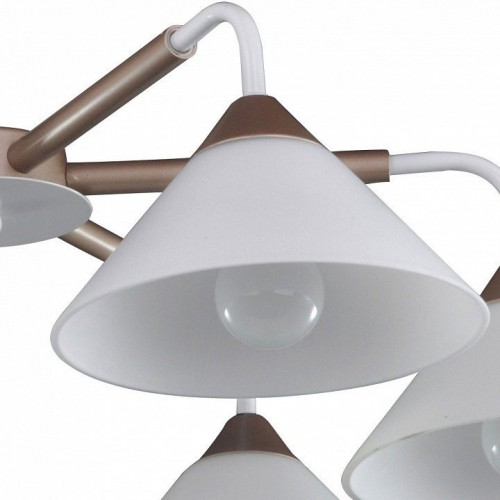 Потолочная люстра Arti Lampadari Ribera E 1.1.6 CW