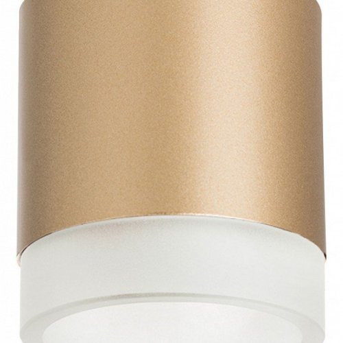 Точечный светильник Lightstar Rullo R349080