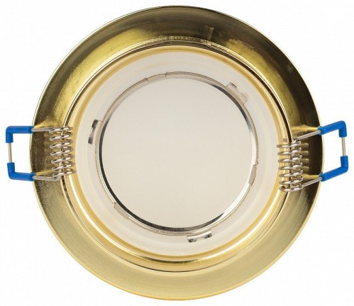 Точечный светильник ЭРА DK99 GD