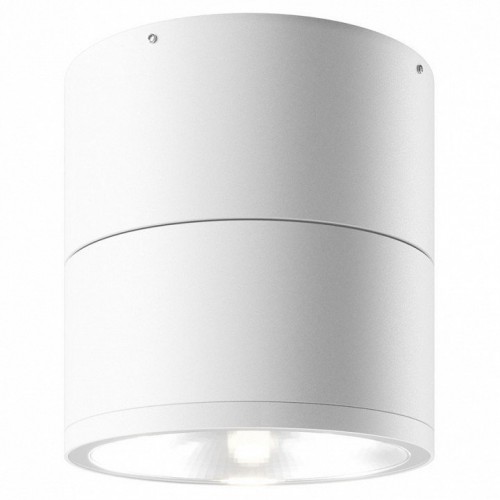 Потолочный светильник уличный Maytoni Spin O310CL-L7W3K