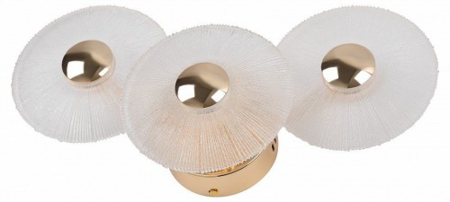 Бра Rivoli Helena 6134-401 Б0061946