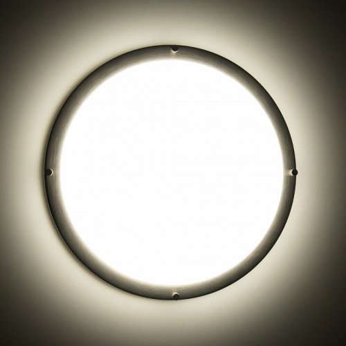 Настенно-потолочный светильник Citilux Бостон CL709321N