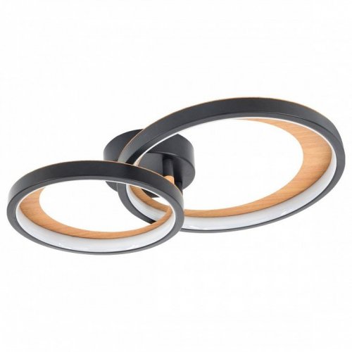 Накладной светильник Escada Callisto 10265/2LED