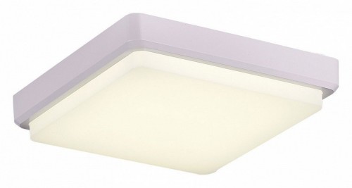 Потолочный светодиодный светильник Evoluce Taddio SLE200212-01 Потолочный светодиодный светильник Evoluce Taddio SLE200212-01