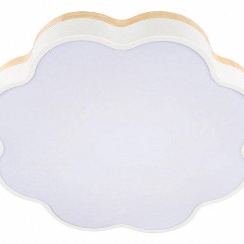 Потолочный светильник Axel 10225/36 White