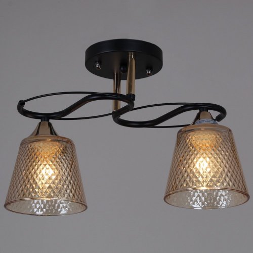 Потолочная люстра Reluce 06087-0.3-02 BK+FG