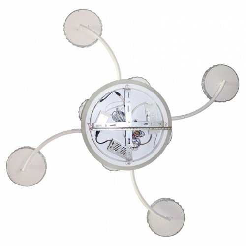 Потолочная люстра Natali Kovaltseva HIGH-TECH LED LAMPS 82015 Потолочная люстра Natali Kovaltseva HIGH-TECH LED LAMPS 82015