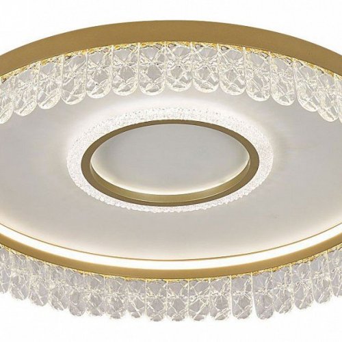 Потолочный светодиодный светильник F-Promo Lunetta 4186-2C