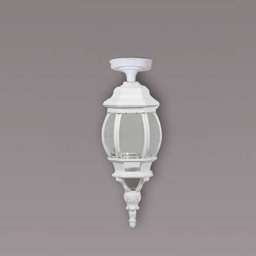 Потолочный светильник уличный Oasis Light AMERICA S 83405SA W