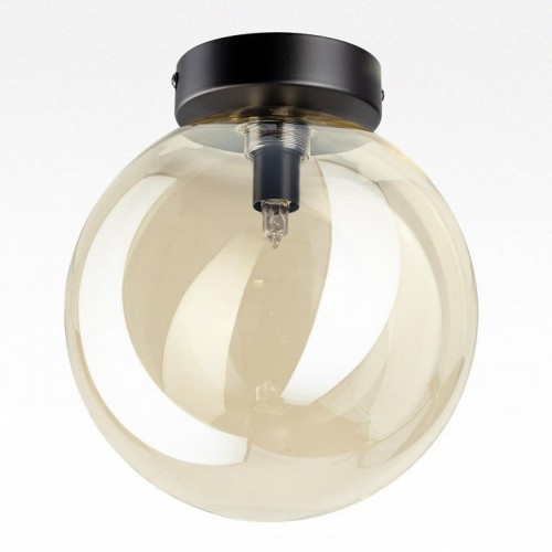 Настенно-потолочный светильник Citilux Orton CL202512