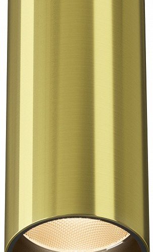 Точечный светильник Maytoni Focus Led C056CL-L12W2.7K-W-BS