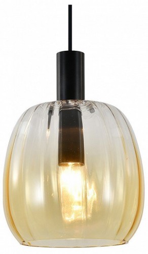 Подвесной светильник Indigo Soave 11047/A/1P Amber