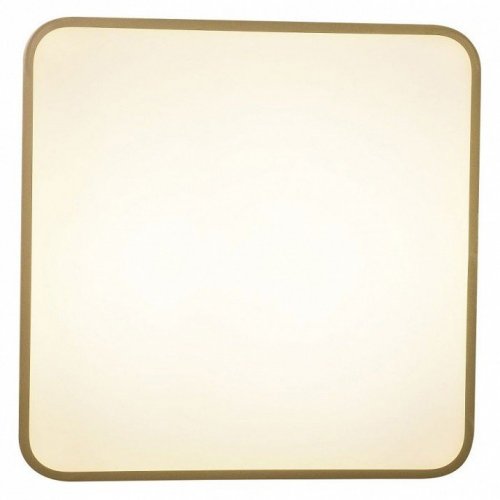 Потолочный светильник Zortes Gabby ZRS.1215.03