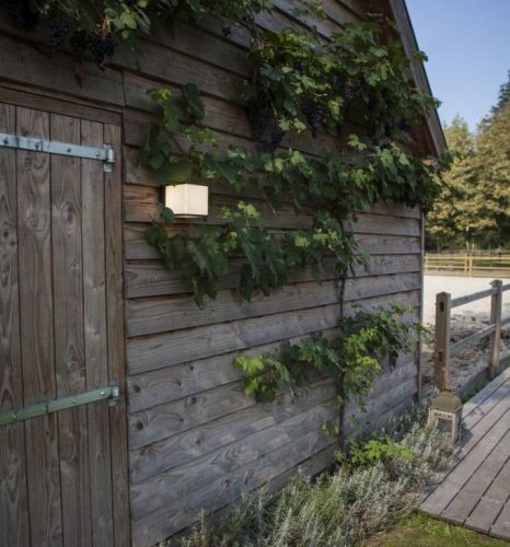 Настенный светильник уличный Oasis Light GEOMETRY W1050 Gr