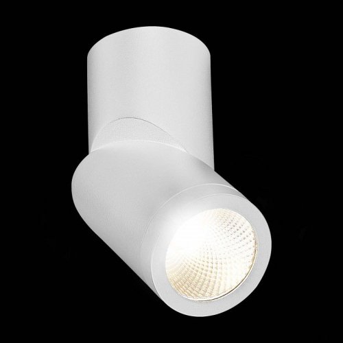 Светодиодный спот ST Luce ST650.542.10