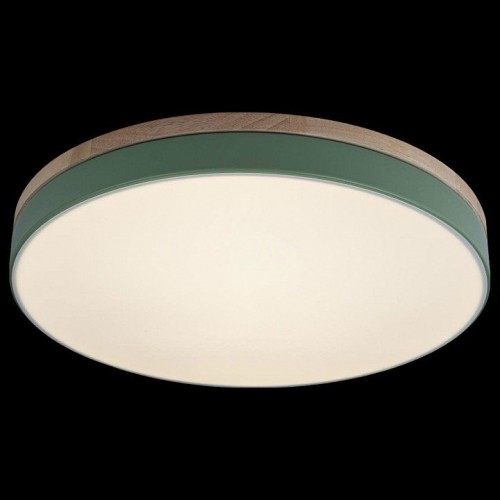 Потолочный светильник Loft IT Axel 10001/36 Green Потолочный светильник Loft IT Axel 10001/36 Green