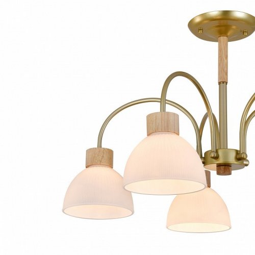 Люстра на штанге Escada ES0000061 Люстра на штанге Escada ES0000061