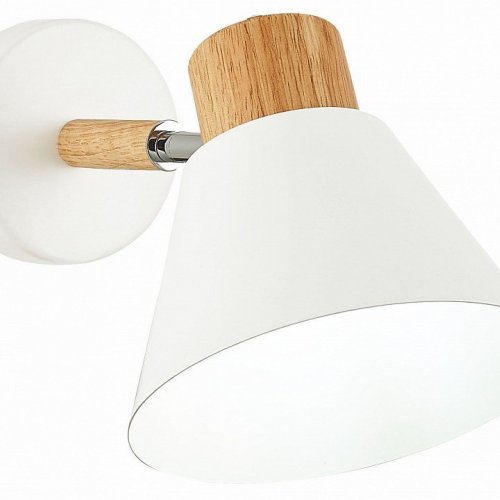 Спот Evoluce Buve SLE103701-01 Спот Evoluce Buve SLE103701-01