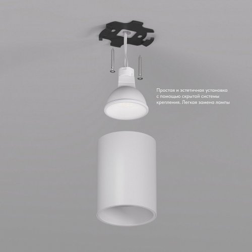 Накладной светильник Denkirs DK3110 DK3110-WH