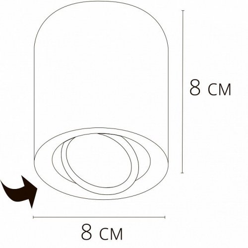 Потолочный светильник Arte Lamp Beid A1513PL-1WH