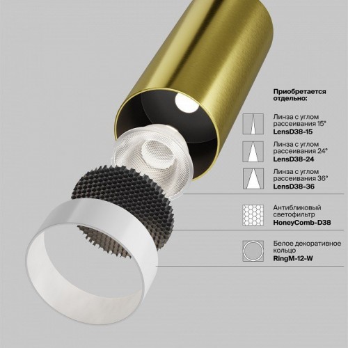 Точечный светильник Maytoni Focus Led C053CL-L12W2.7K-W-BS