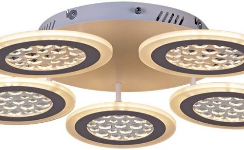 Светильник потолочный Reluce 20491-0.3-05 WT