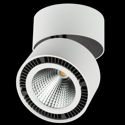 Точечный встраиваемый светильник Lightstar Zocco 213830