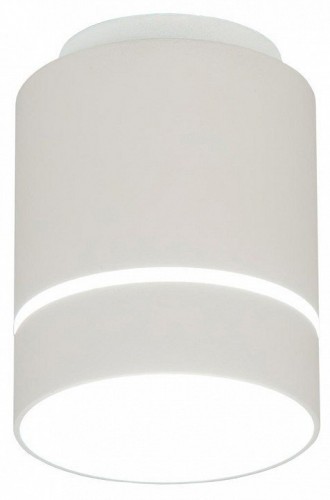 Накладной светильник Citilux Борн CL745010N