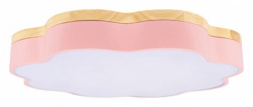 Потолочный светильник Loft IT Axel 10225/36 Pink