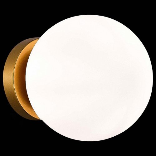 Настенно-потолочный светильник ST Luce Acini SL717.201.01