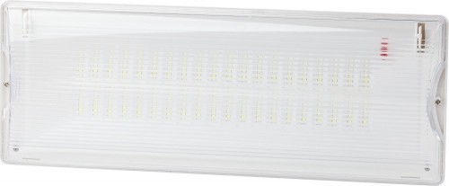 Настенный светодиодный аварийный светильник ЭРА DPA-301-0-65