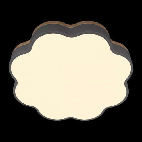 Потолочный светильник Loft IT Axel 10225/36 Grey