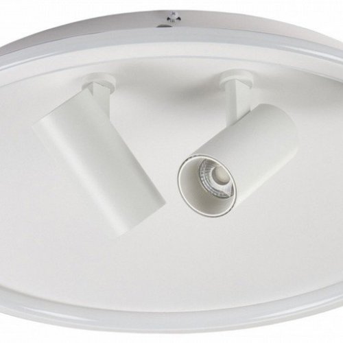 Потолочный светильник MyFar Focus MR9050-CL Потолочный светильник MyFar Focus MR9050-CL