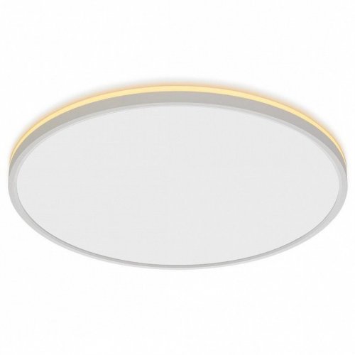 Накладной светильник Citilux Norma CL748500