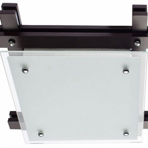 Потолочный светильник Arte Lamp Archimede A6462PL-2CK