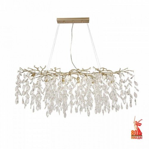 Подвесная люстра Favourite Brillo 3056-10P