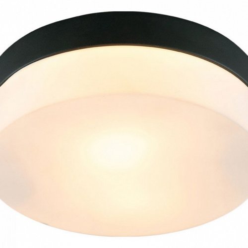 Потолочный светильник Arte Lamp Aqua-tablet A6047PL-2BK