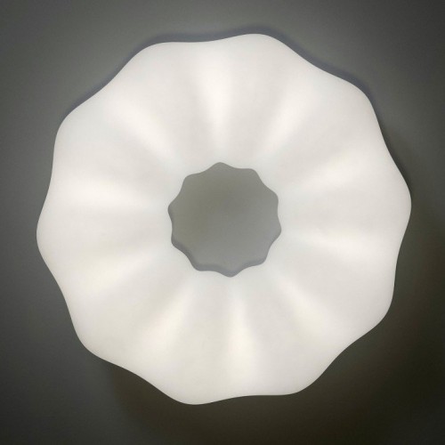 Потолочный светильник Zortes Soft ZRS.1118.4 Потолочный светильник Zortes Soft ZRS.1118.4