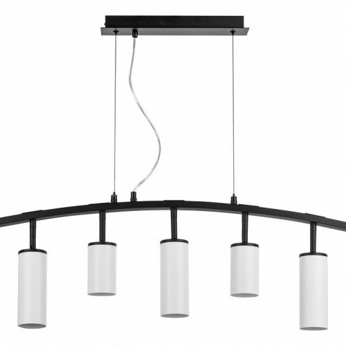 Подвесной светильник Lightstar Rullo LR735362863
