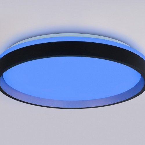 Накладной светильник Ambrella Light FZ FZ610