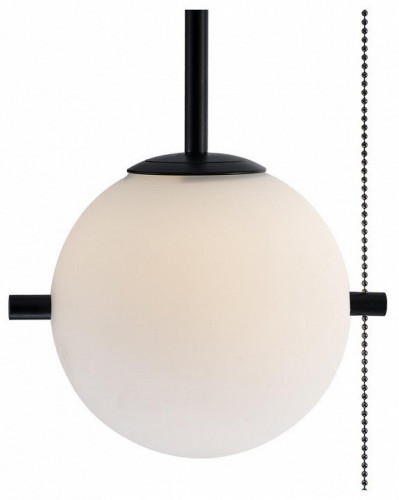 Подвесной светильник Loft IT Signal 10029PS Black