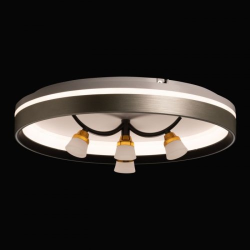 Потолочный светильник Норден 660014901 Потолочный светильник Норден 660014901