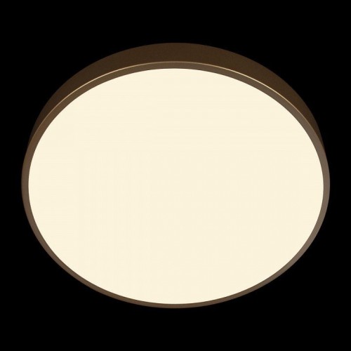 Потолочный светильник Loft IT Flims 10228/A