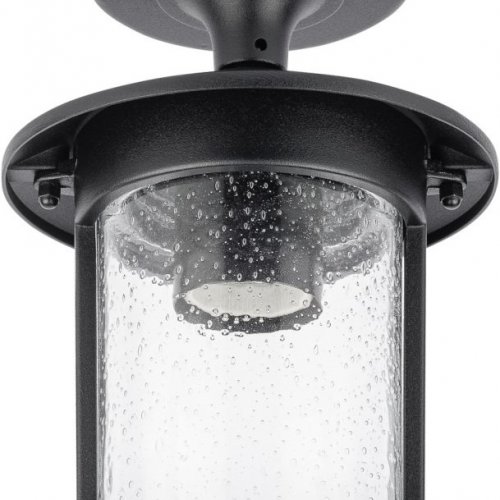 Потолочный светильник уличный Oasis Light CORDOBA 18205A Bl