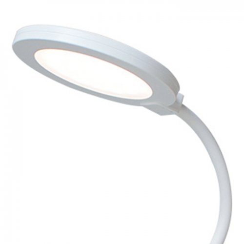 Офисная настольная лампа Miranda 10245/1LED