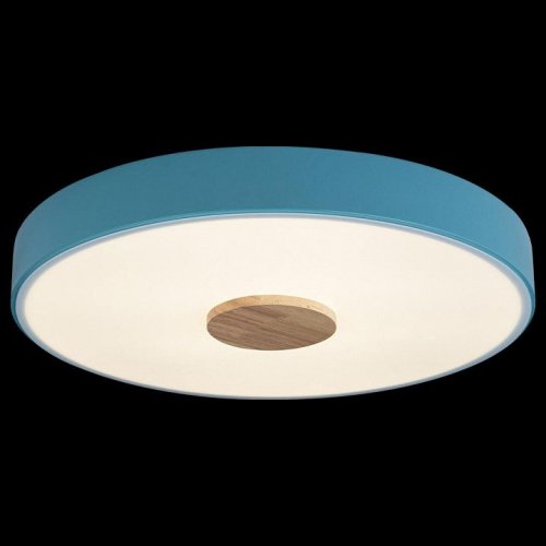 Потолочный светильник Loft IT Axel 10003/24 Blue