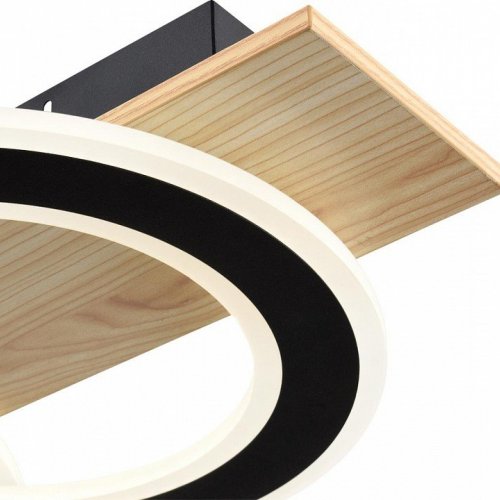 Потолочный светильник Lumion Pine 8023/80CL