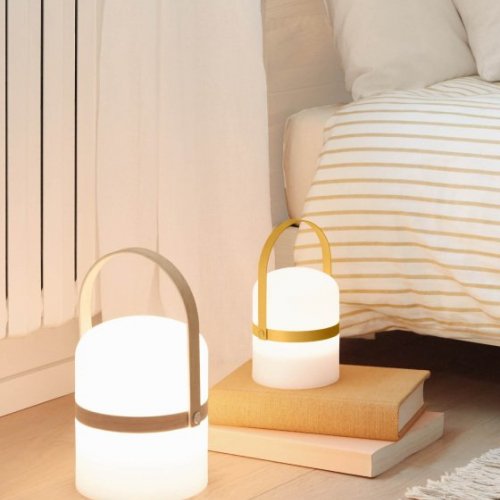 Интерьерная настольная лампа Ridley AA7758S29