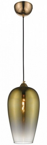 Подвесной светильник Wertmark Benito WE205.01.306