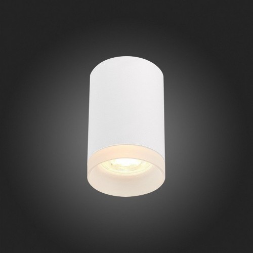 Потолочный светильник ST Luce ST100.502.01 Потолочный светильник ST Luce ST100.502.01